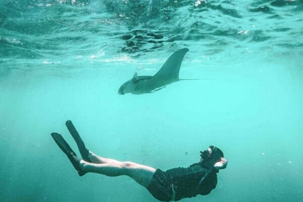 A Day Nusa Penida with Manta Snorkeling