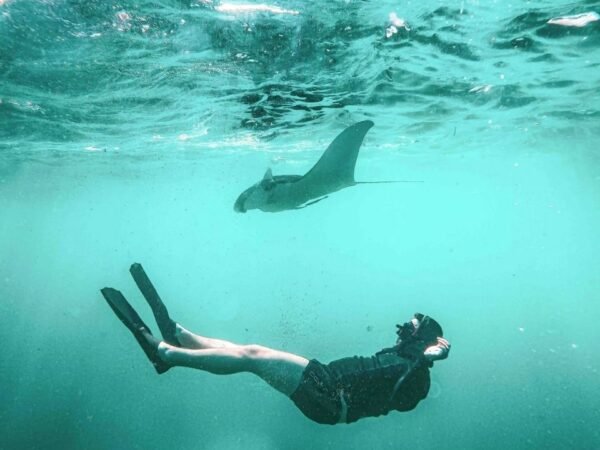 A Day Nusa Penida with Manta Snorkeling