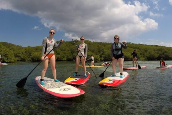 Stand Up Paddle Mangrove Nusa Lembongan