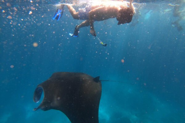 Nusa Penida Snorkeling & Kelingking