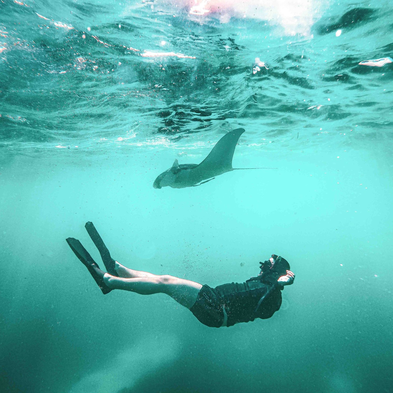 snorkeling