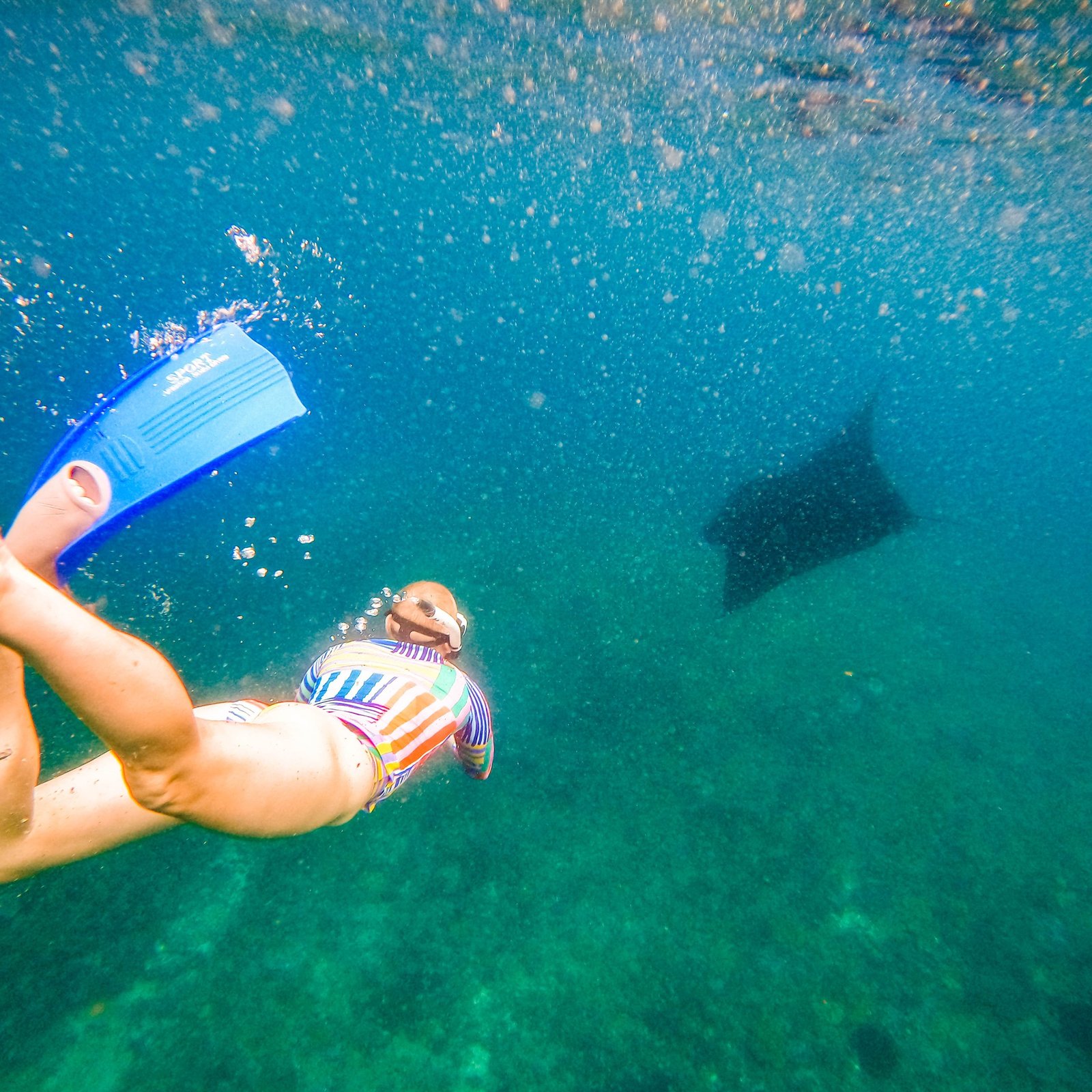 nusa penida