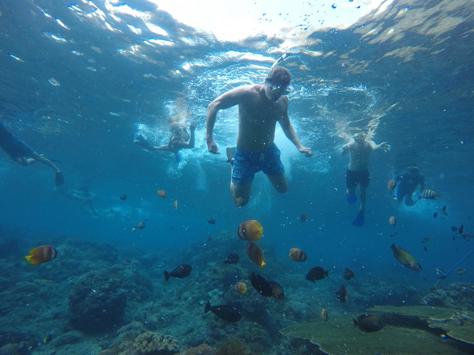 DCIM101GOPROGOPR6543.JPG