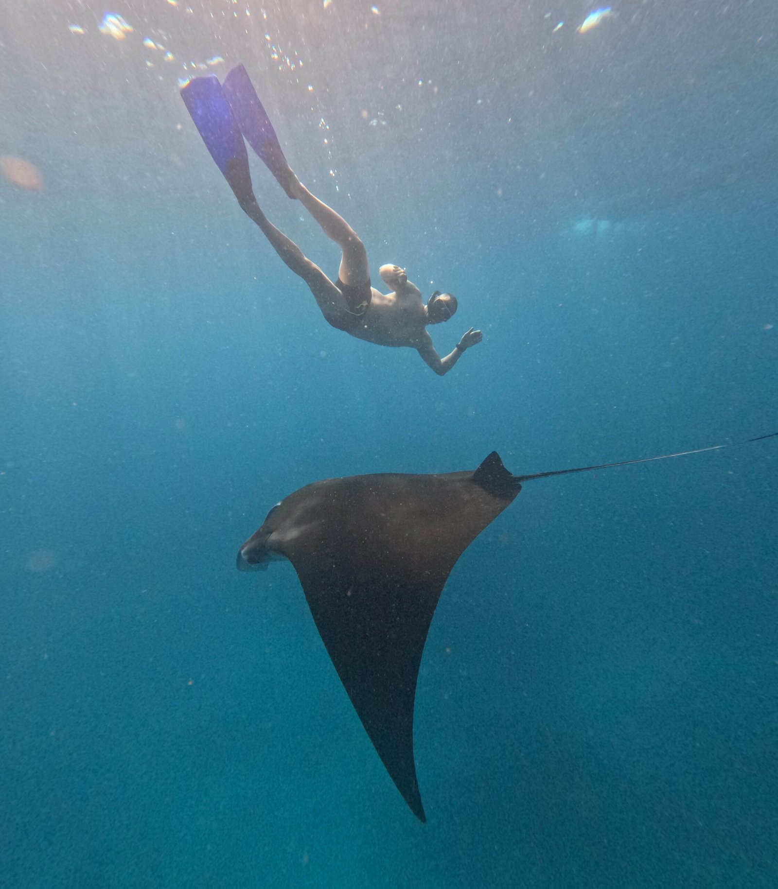 DCIM100GOPROGOPR3820.JPG