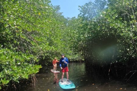 Stand Up Paddle Mangrove Nusa Lembongan